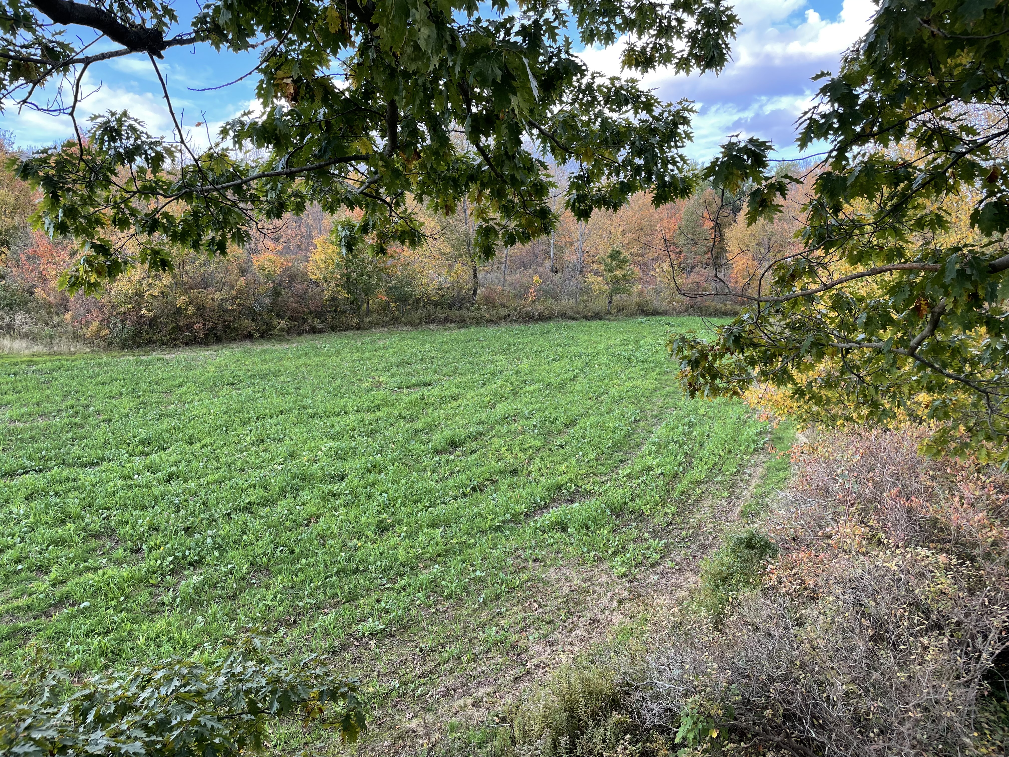 Shadow Hunter Installs